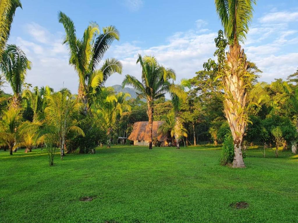 listing image with ID 67786