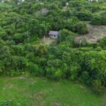 listing image thumbnail with ID 64106