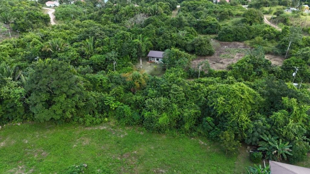 listing image with ID 64106