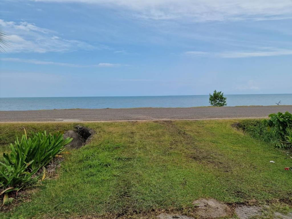 listing image with ID 65310