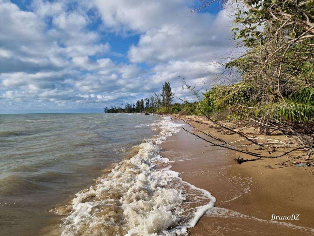 listing image with ID 64006