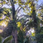 listing image thumbnail with ID 65537