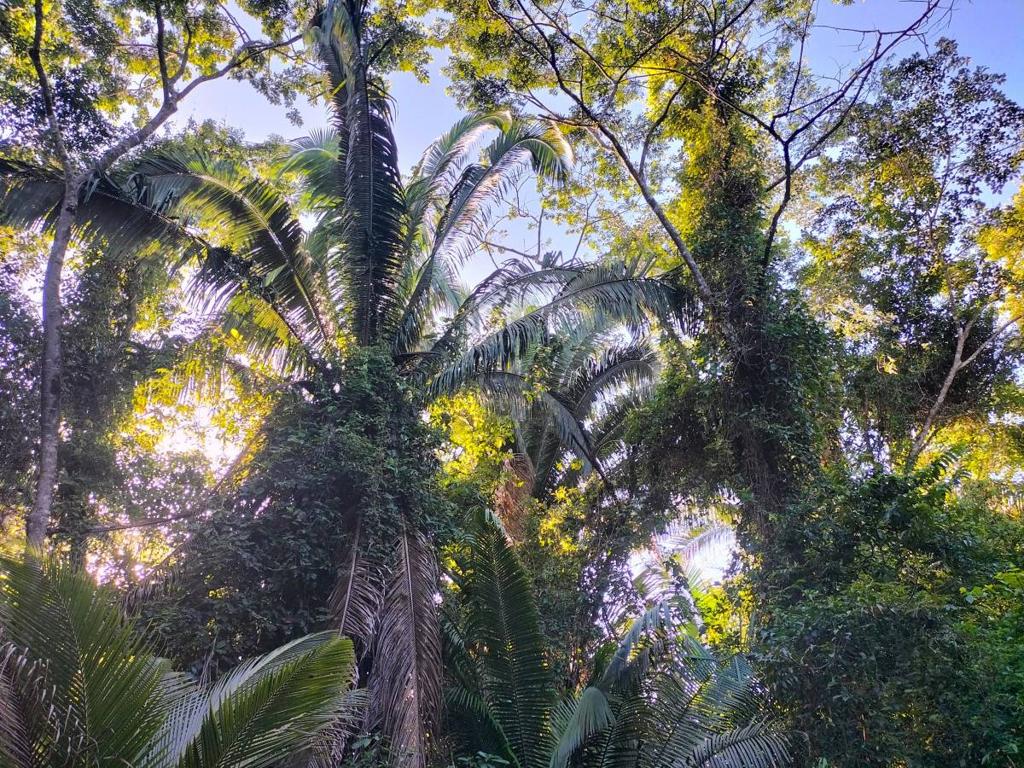 listing image with ID 65537