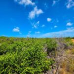 listing image thumbnail with ID 68183