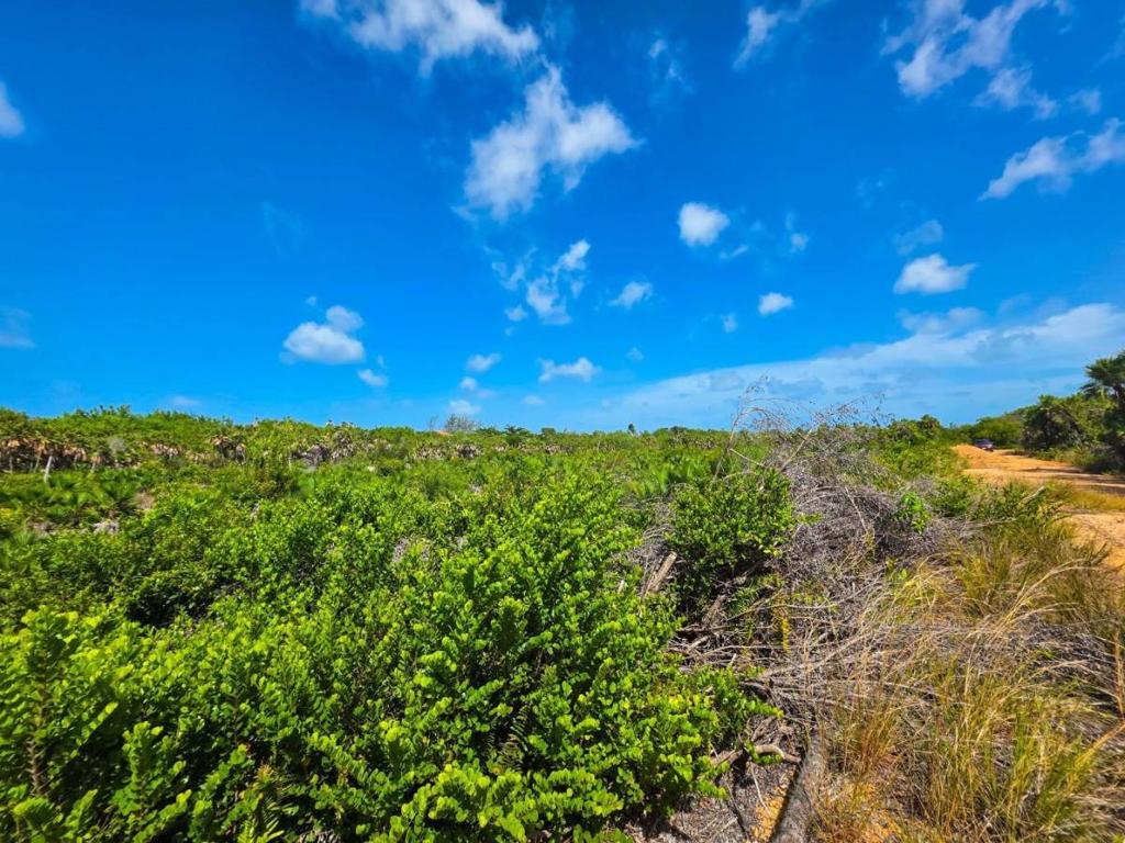 listing image with ID 68183