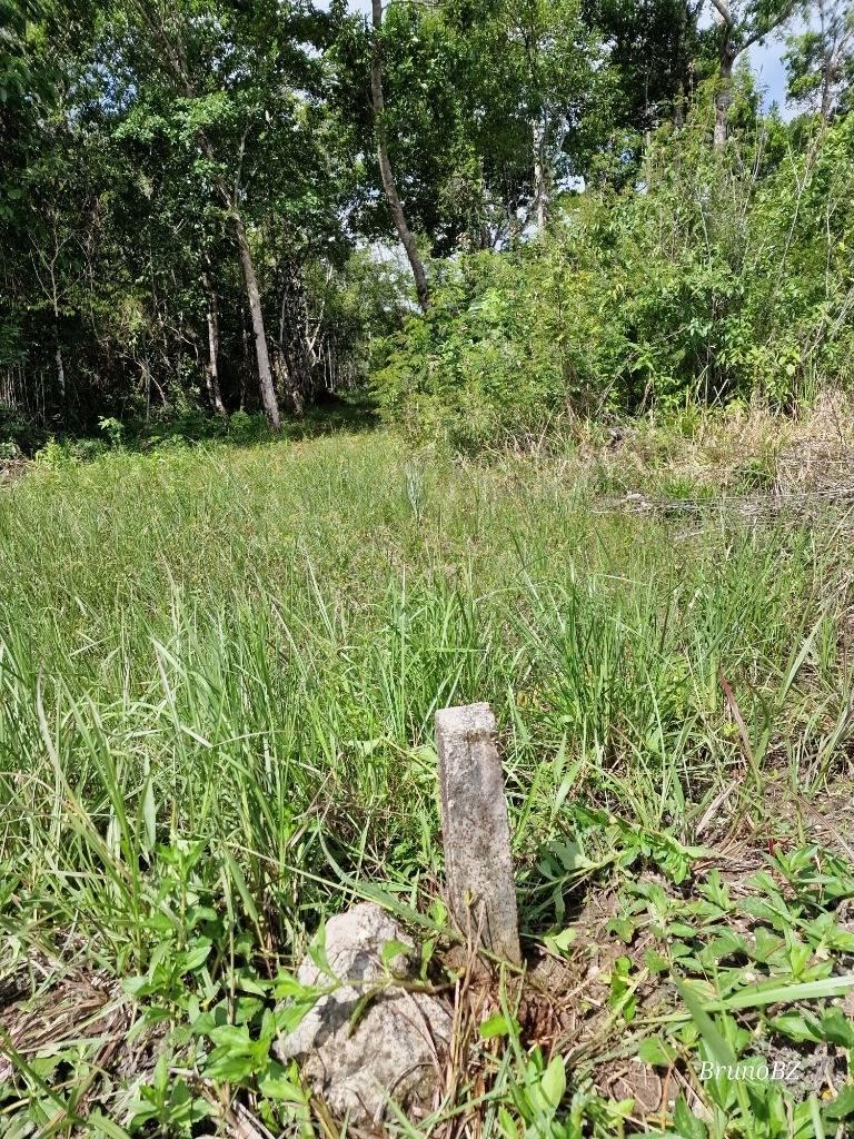 listing image with ID 63962