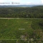 listing image thumbnail with ID 66407