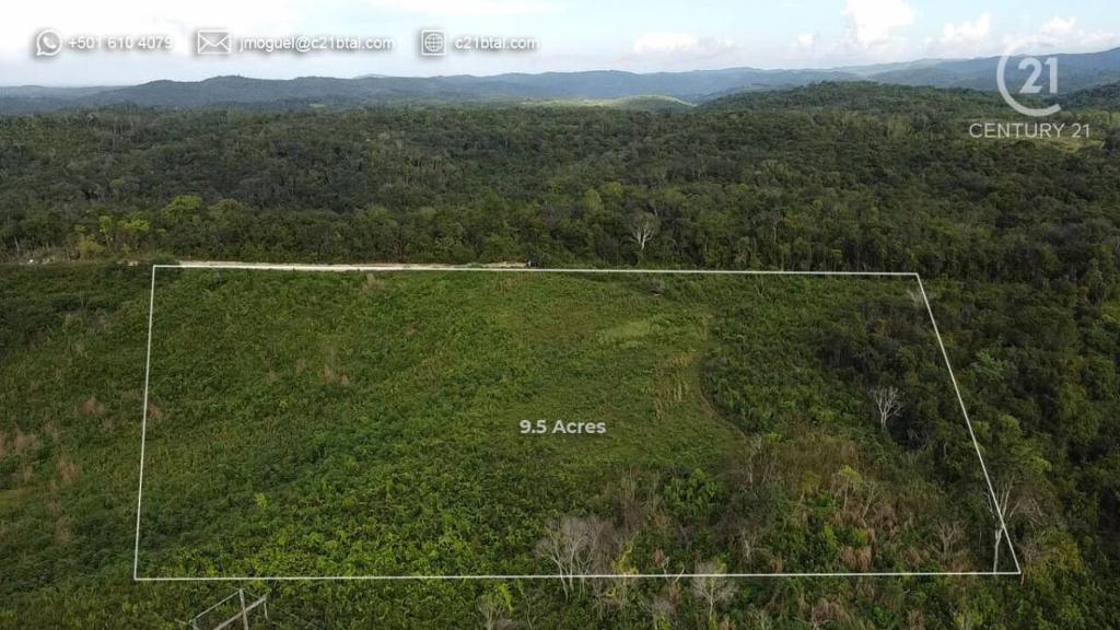 listing image with ID 66407