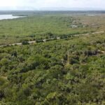 listing image thumbnail with ID 65185