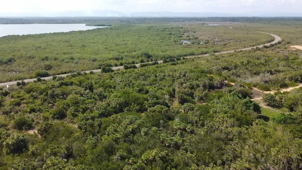 listing image with ID 65185