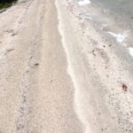 listing image thumbnail with ID 66130