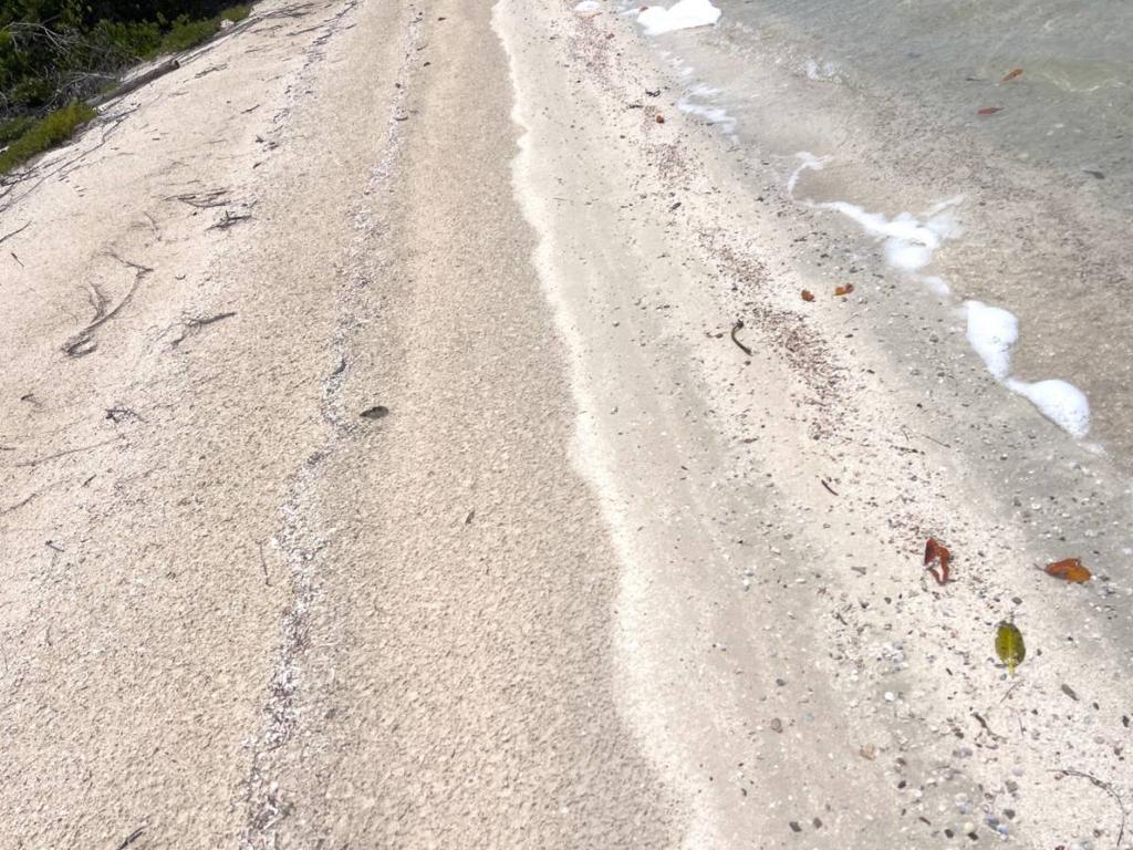 listing image with ID 66130