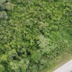 listing image thumbnail with ID 66582