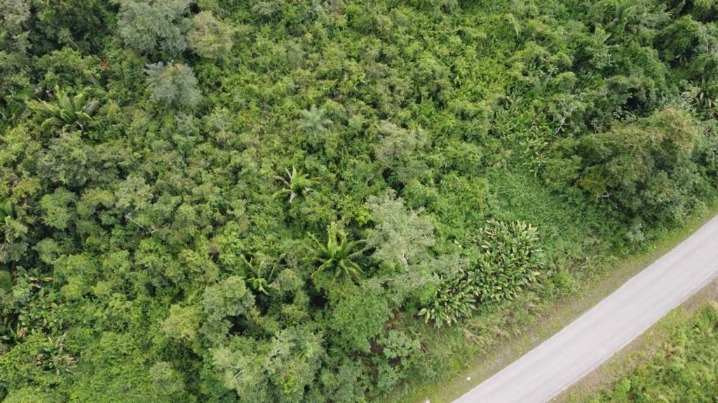 listing image with ID 66582