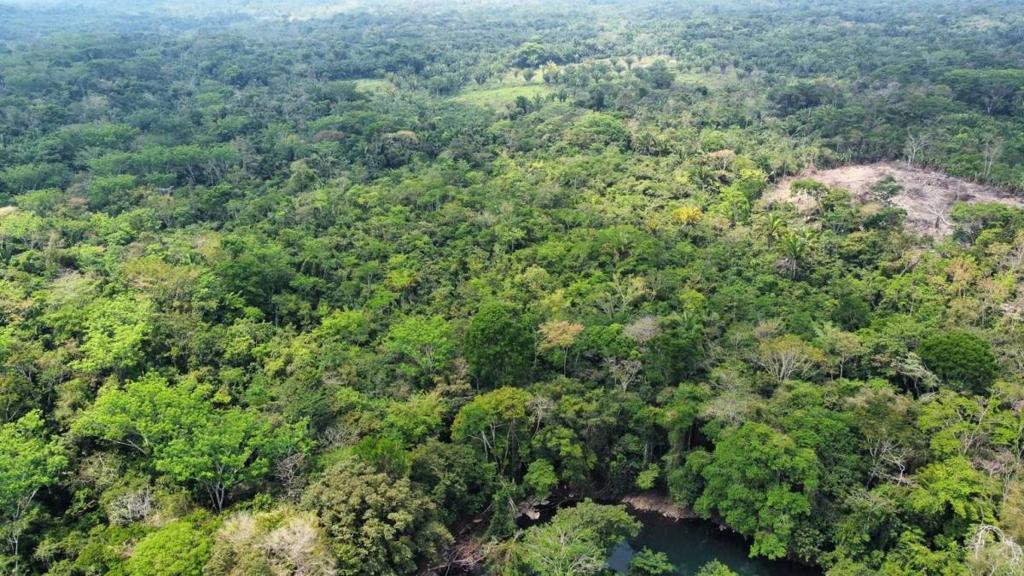 listing image with ID 69190