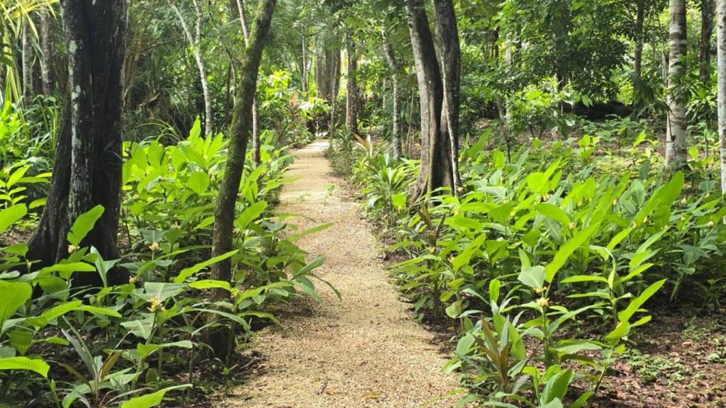 listing image with ID 65887