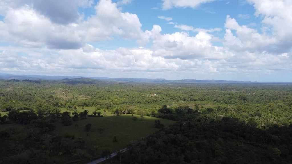 listing image with ID 64256