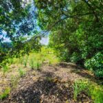 listing image thumbnail with ID 63595