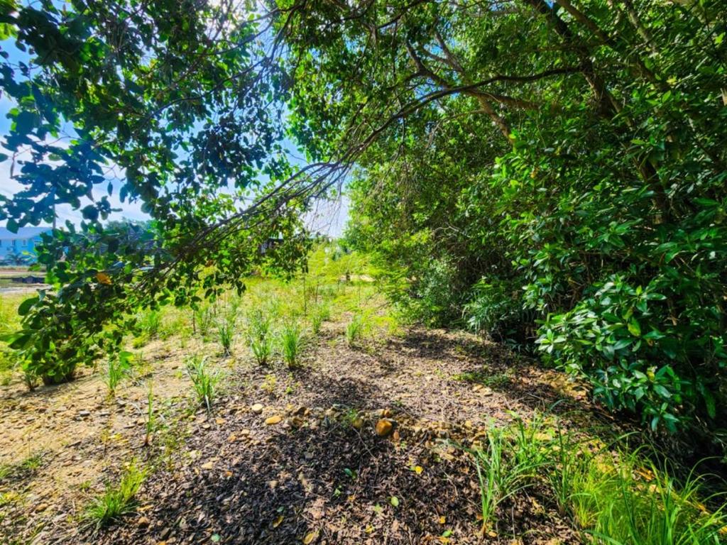 listing image with ID 63595