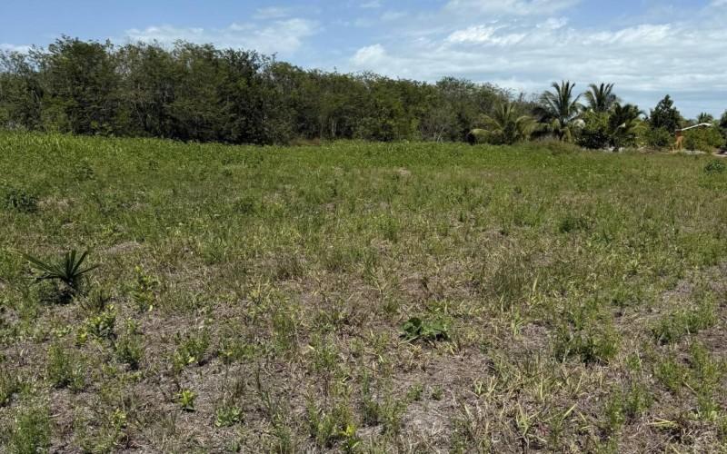 listing image with ID 68833