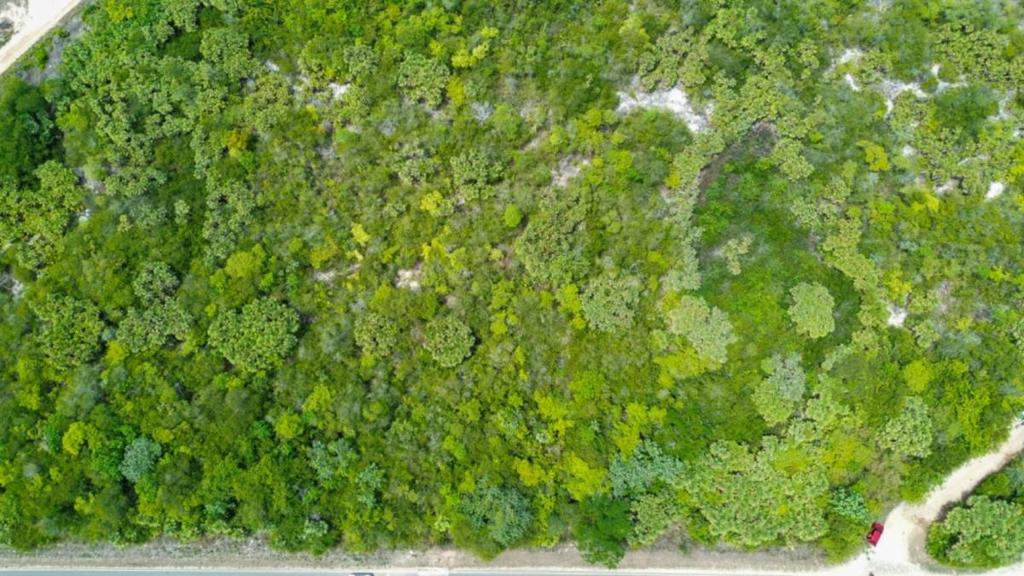 listing image with ID 67329