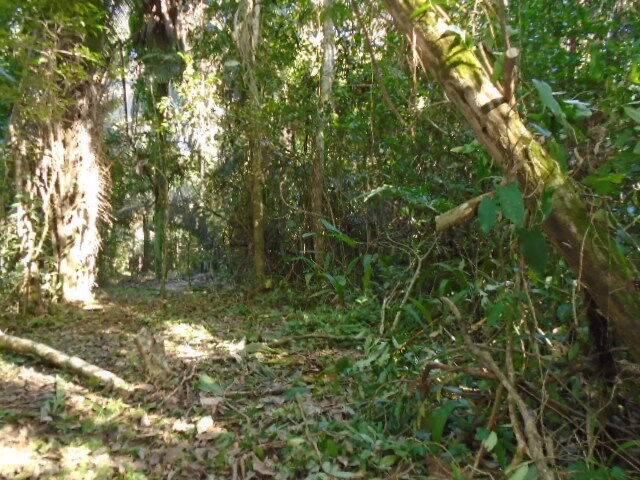 listing image with ID 64065