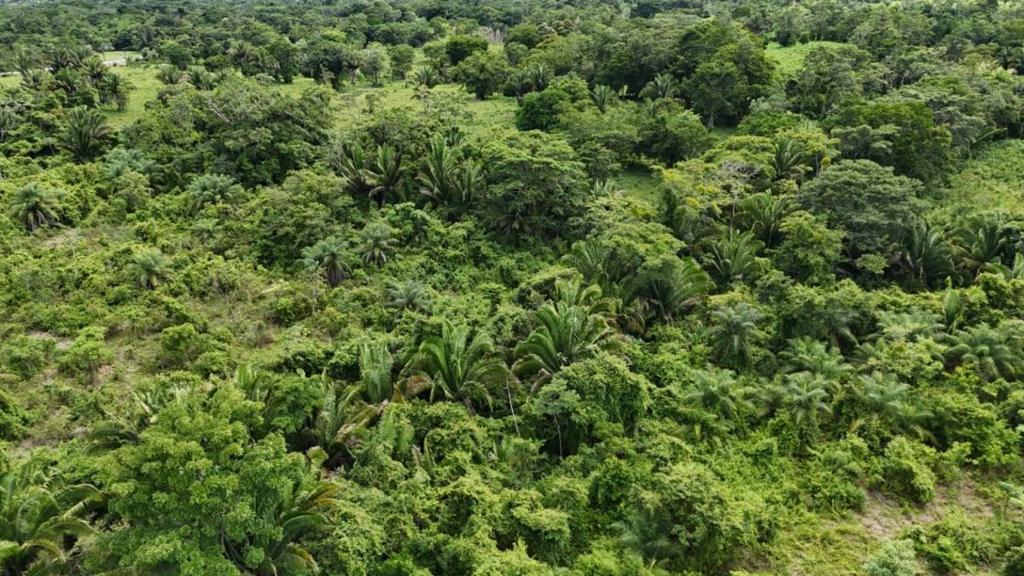 listing image with ID 67091