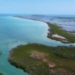 listing image thumbnail with ID 65987