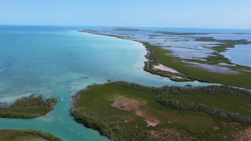 listing image with ID 65987