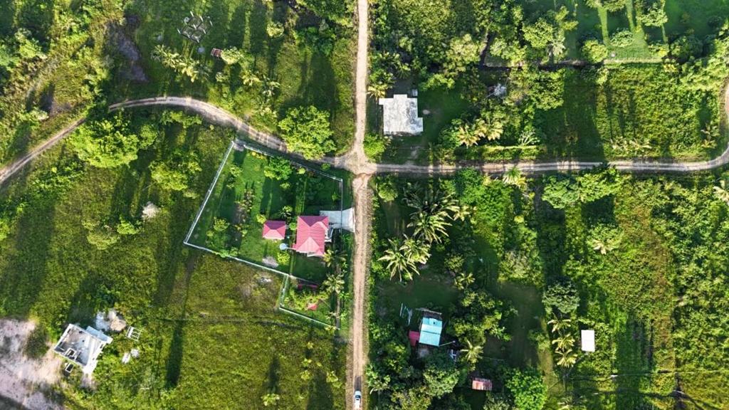 listing image with ID 67194