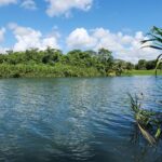 listing image thumbnail with ID 67726