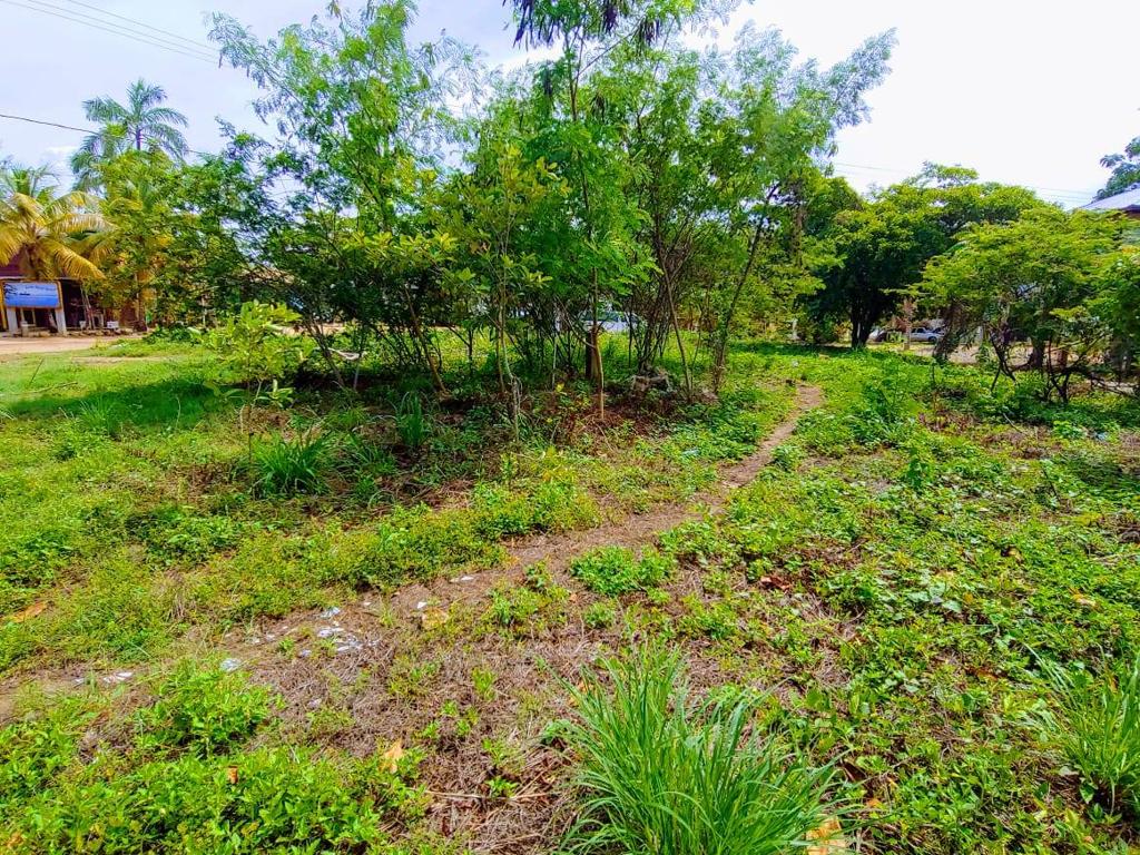 listing image with ID 64555