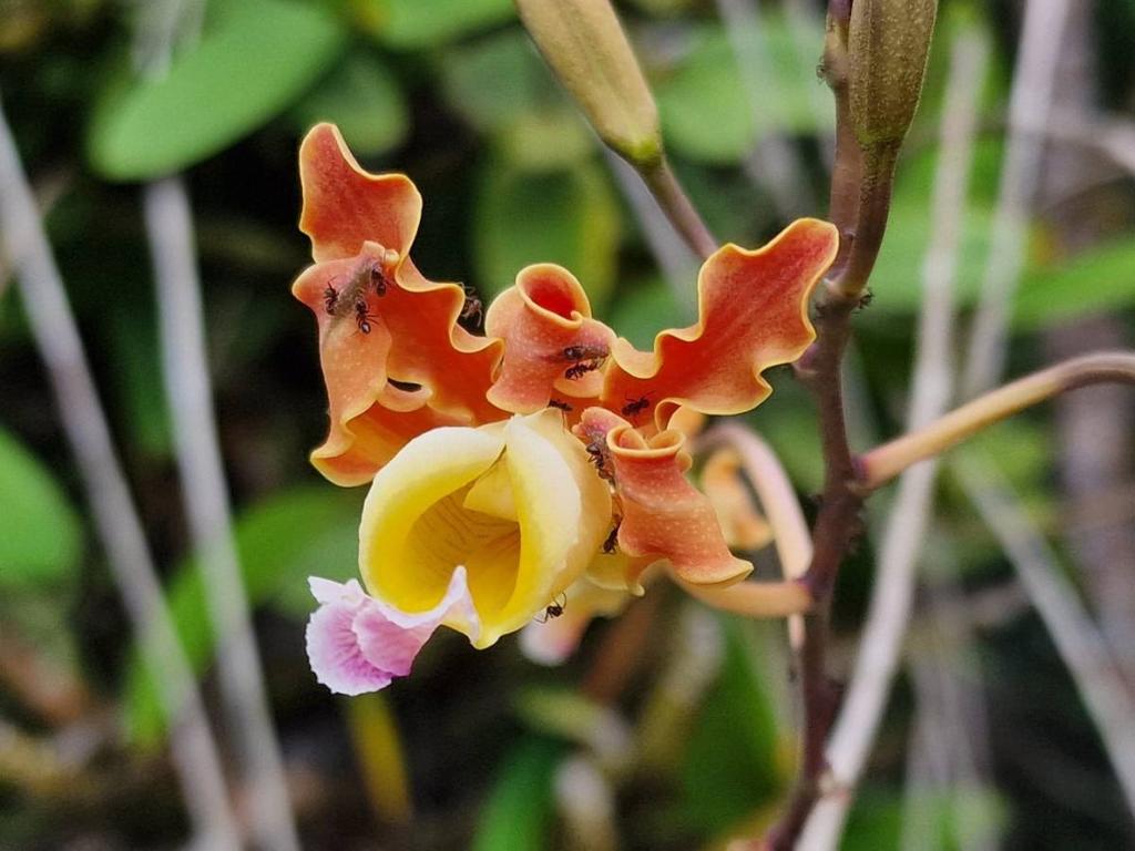 listing image with ID 63710