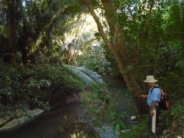 listing image with ID 64075