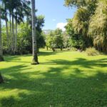 listing image thumbnail with ID 67737