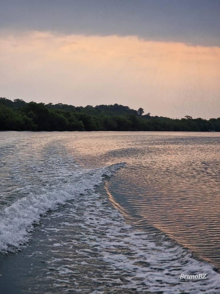 listing image with ID 67835