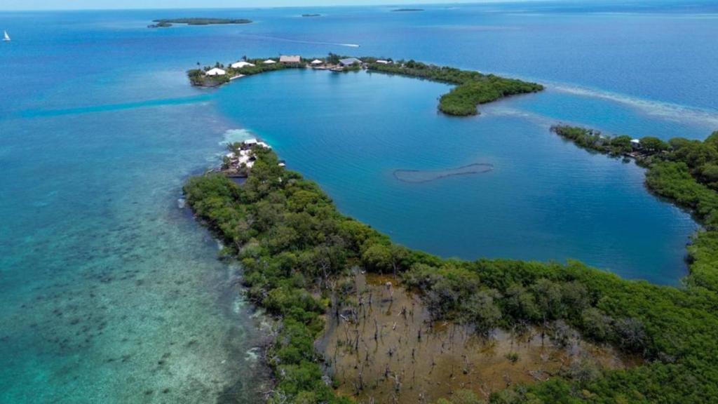 listing image with ID 65846