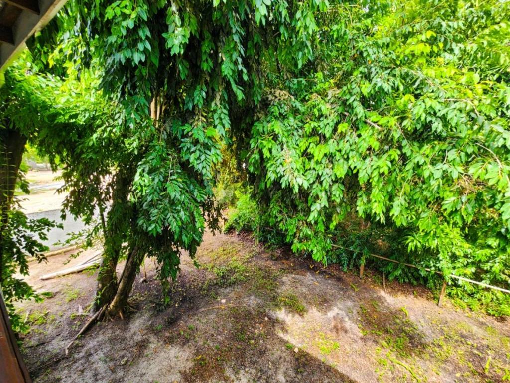 listing image with ID 64660