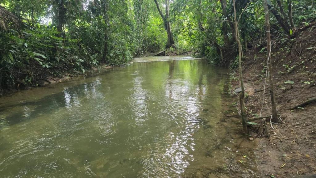 listing image with ID 65896