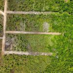 listing image thumbnail with ID 66089