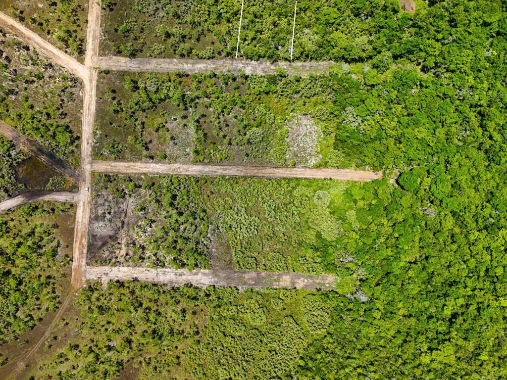 listing image with ID 66089