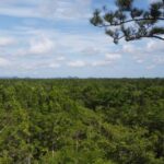 listing image thumbnail with ID 63955