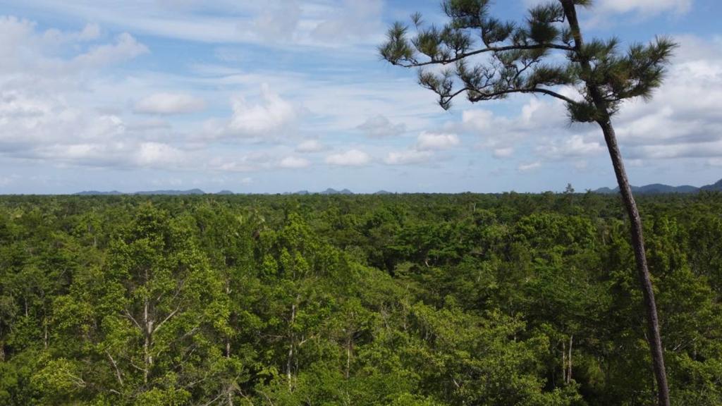 listing image with ID 63955