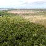 listing image thumbnail with ID 64010