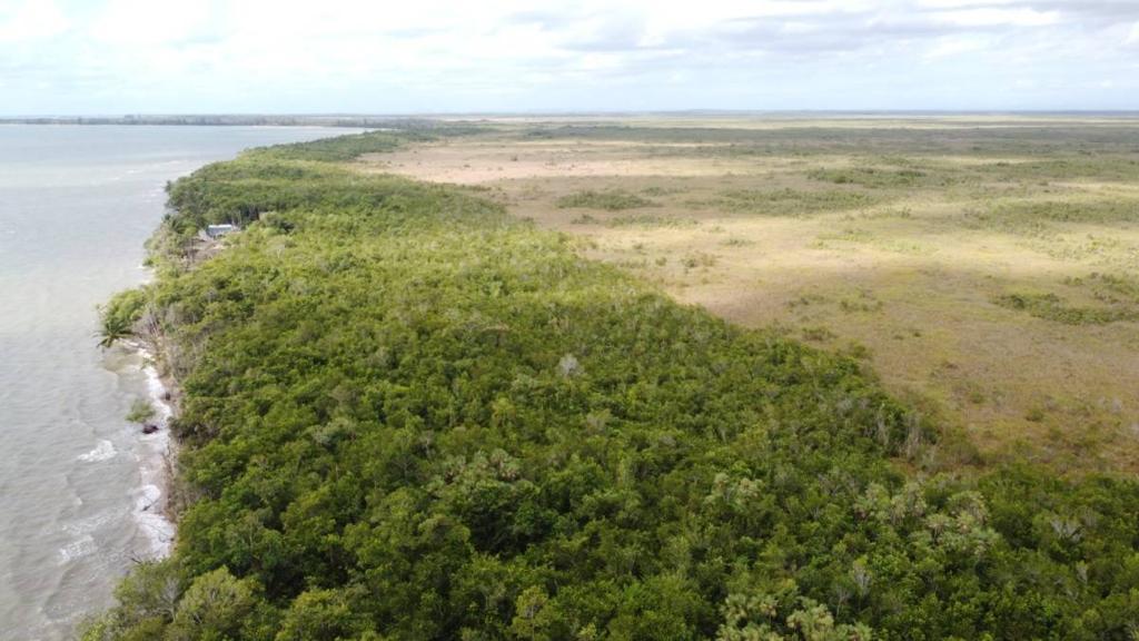 listing image with ID 64010