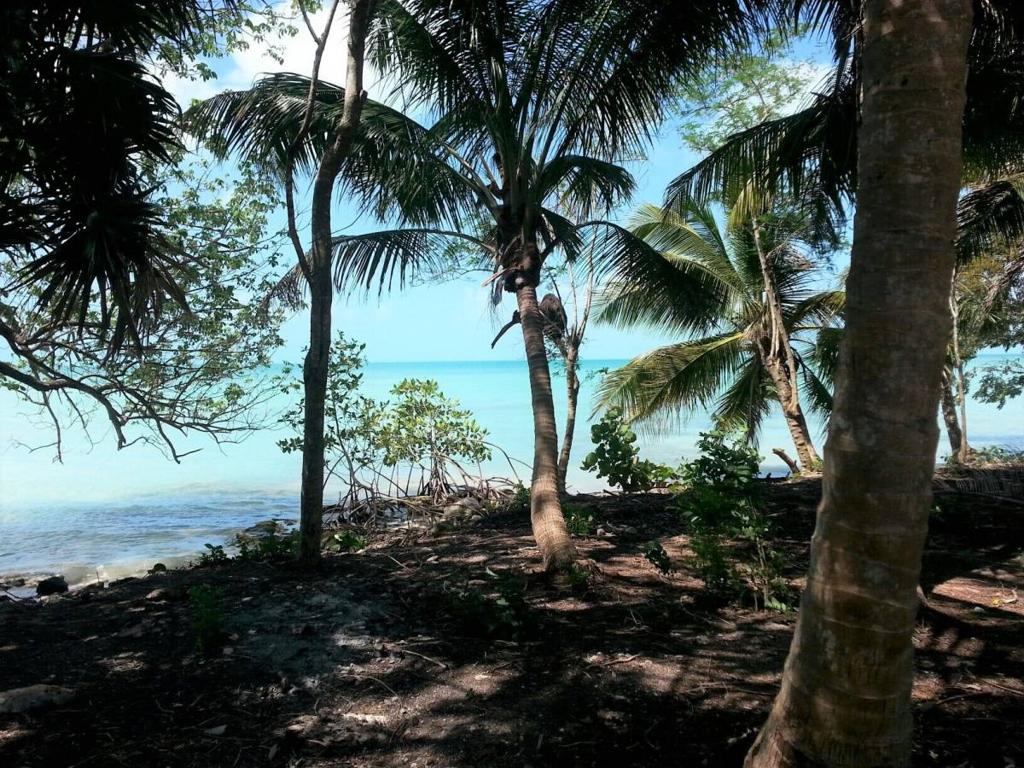 listing image with ID 64514