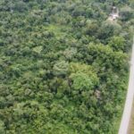 listing image thumbnail with ID 66577