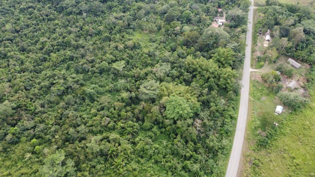 listing image with ID 66577