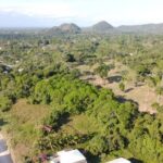 listing image thumbnail with ID 66101