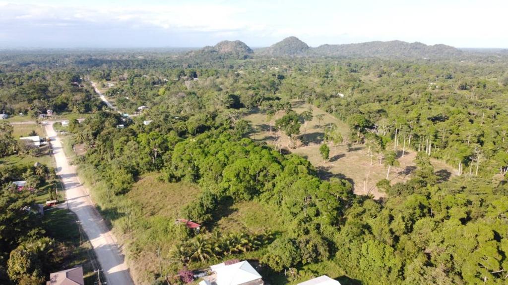 listing image with ID 66101